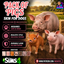 Pack of pigs by Jochi logo