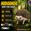 Hedgehog skin by Jochi logo