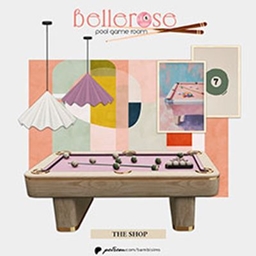 bellerose pool room set project image