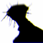 doctor nowhere unknown creatures logo
