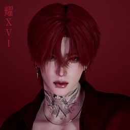 XVIHAIR11 project image