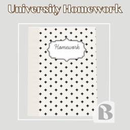 University Homework Book | Override logo