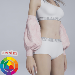 Setsim accessory #3 project image
