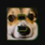 BobbyCraft Enhanced logo