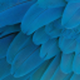 Create Fluff SMP logo