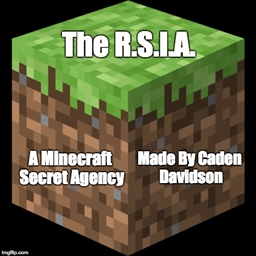 The R.S.I.A. project image