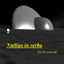 Nullius in verba - Pure Exploration, No Paperwork logo