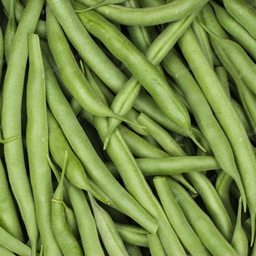 BeeansandGreens project image