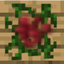 Special Berries Mod logo