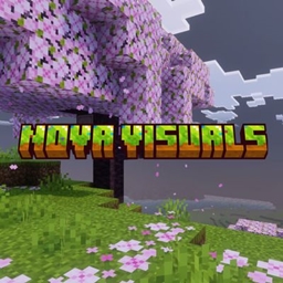 Nova Visuals project image