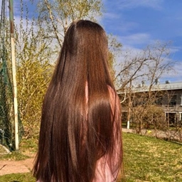 Lerusema project image
