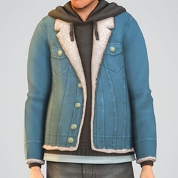 Denim Jacket Hoodie project image