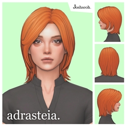 Adrasteia Hair project image