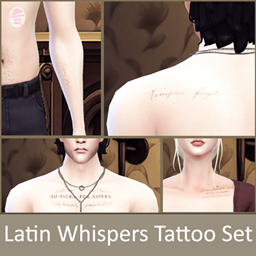 Latin Whispers Tattoo Set project image