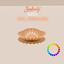 Deco_Coquillage01_D98CF661 logo