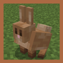 Fix Rabbit project image