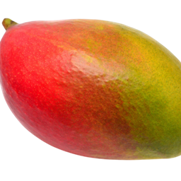 Mango project image