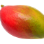 Mango logo
