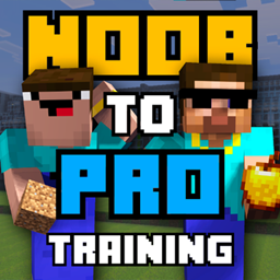 NOOB to PRO training logo