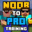 NOOB to PRO training logo