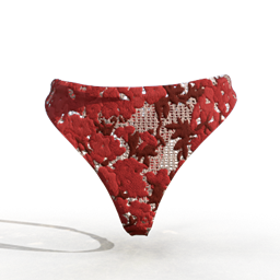 Red Thong Embroidered Bikini project image