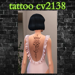 tattoo cv2138 project image