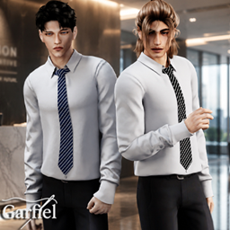 Adult - Professional office shirt and tie set for business looks project image