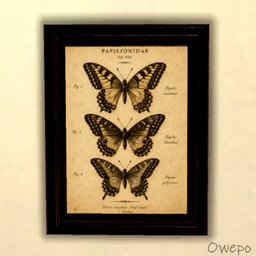 Vintage Specimen Collection project image