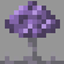 Mycoscape logo