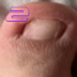 The Fat Toe 2 logo