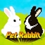 bbyj's Pet Bunny logo
