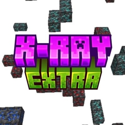 X Ray Extra project image