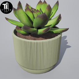Minimal cactus in pot project image
