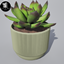 Minimal cactus in pot logo