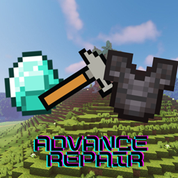 Advance repair project image