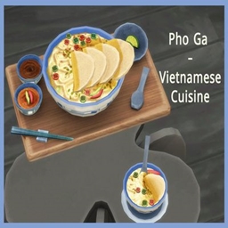 Vietnamese Cuisine - Pho Ga Recipe By icemunmun | Chinese Translation project image