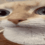MEOWCRAFT UWUUWUWUWUWU logo