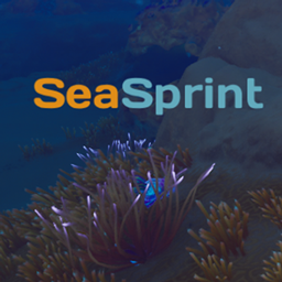 SeaSprint project image