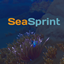 SeaSprint logo