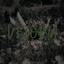 Veloria [Season Two] logo