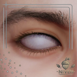 Niven Iris Preset: All Whites logo