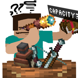 Hwhich Capacity? logo
