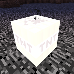 no particle logo