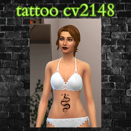 tattoo cv2148 logo
