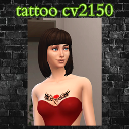 tattoo cv2150 project image