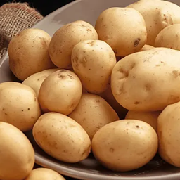 Axo's Potato Update logo