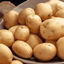 Axo's Potato Update logo