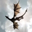 Dracarys logo