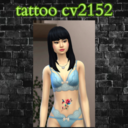tattoo cv2152 project image