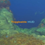Toggleable HUD logo